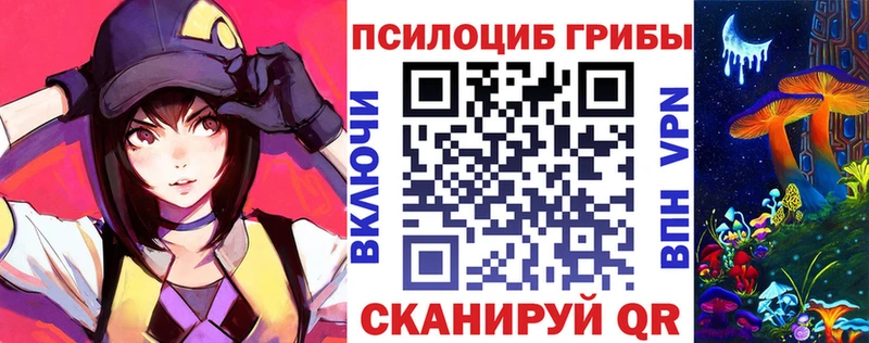 Купить закладки  Кондрово  Псилоцибиновые грибы мицелий 